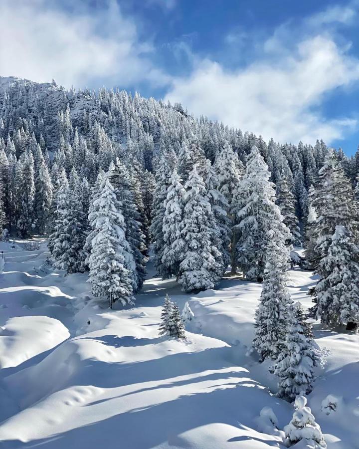 ホテル Haus Tirol エールヴァルト エクステリア 写真