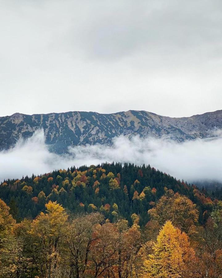 ホテル Haus Tirol エールヴァルト エクステリア 写真